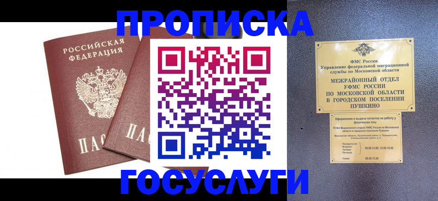 регистрация для дет. сада в Снежногорске